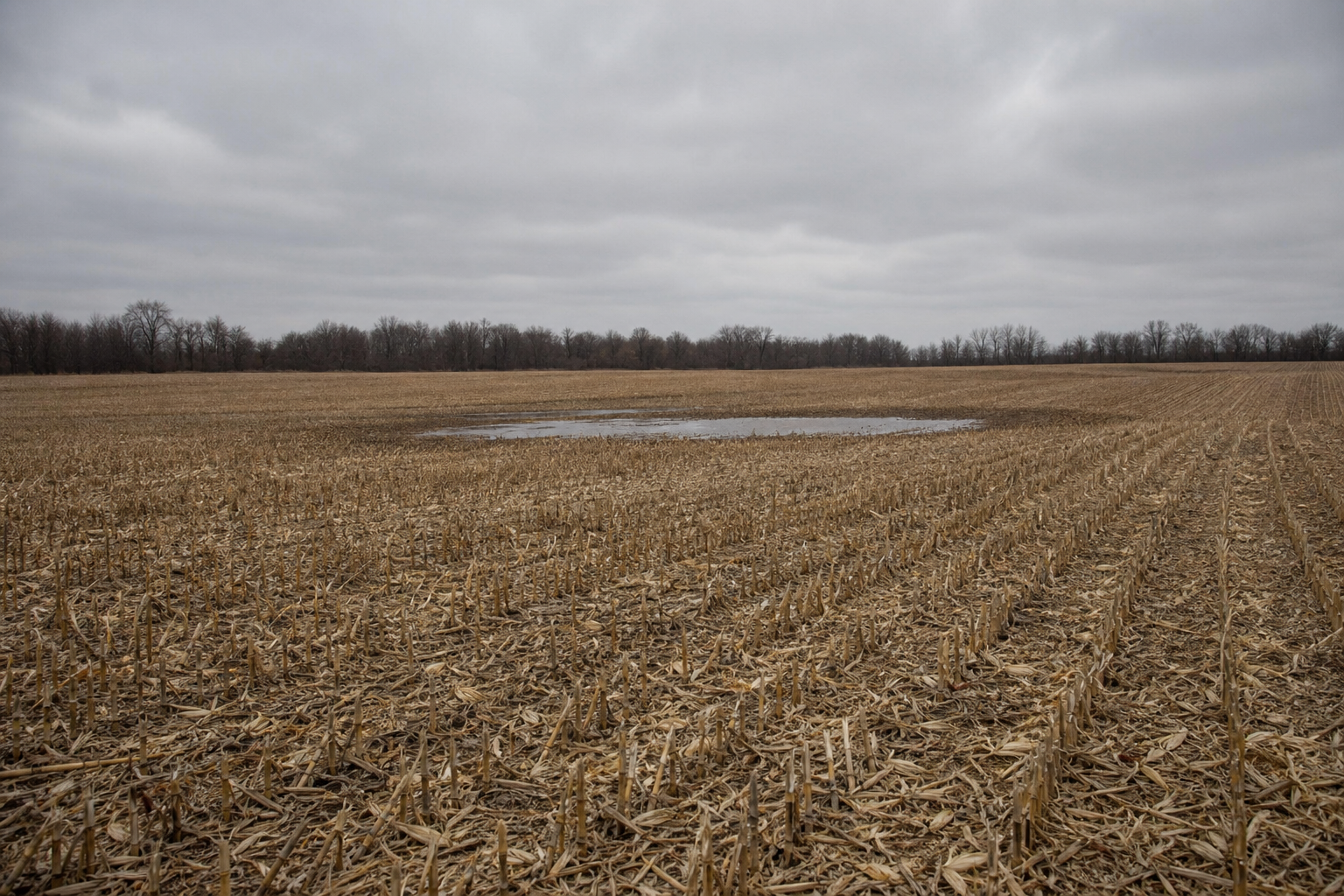 Fall Field Tile and Farm Drainage Repairs Before Freeze-Up in Henry County